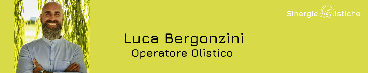 Luca Bergonzini